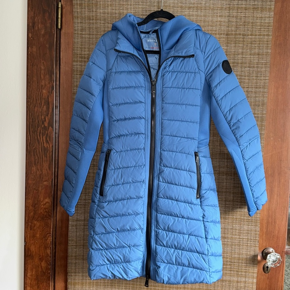 Blue Bernardo puffer